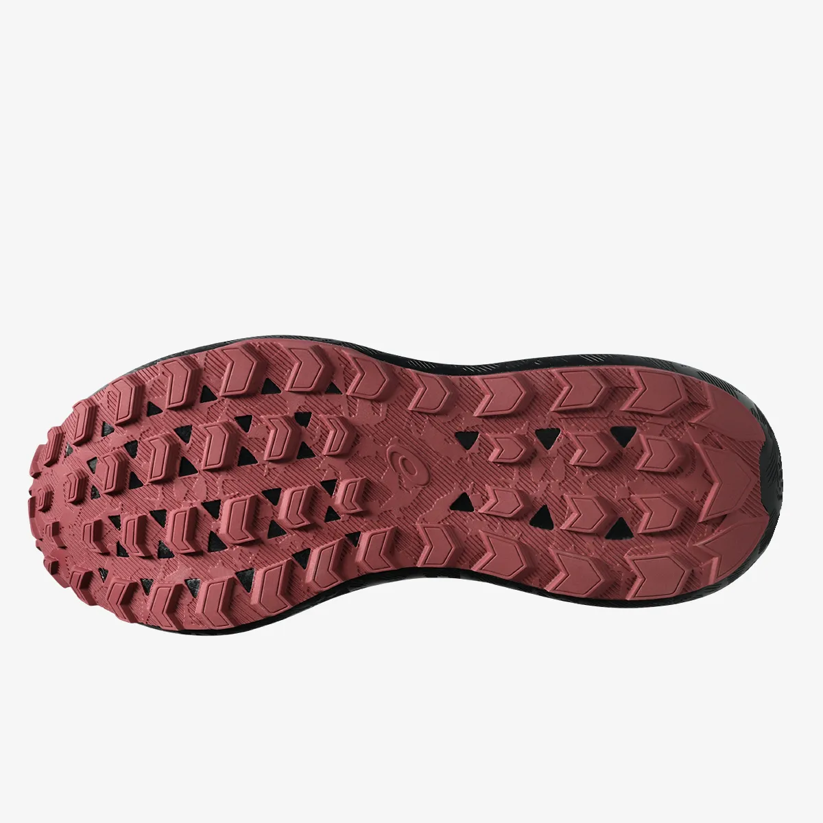 ASICS Tenisice GEL-SONOMA 8 GTX