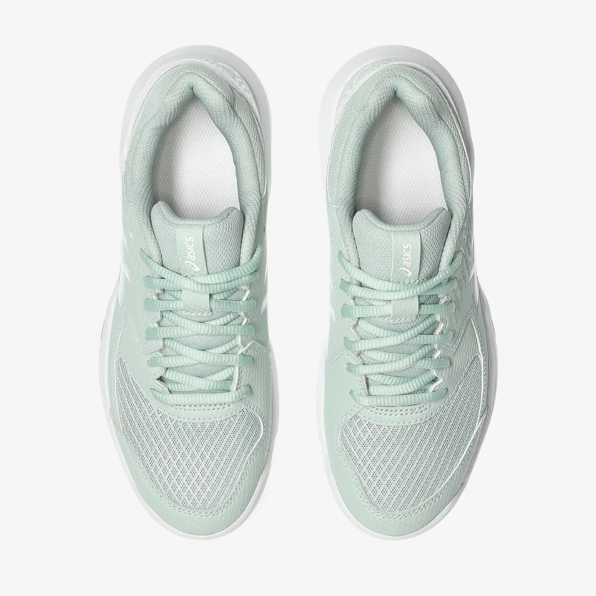 ASICS Tenisice GEL-DEDICATE 8 CLAY 