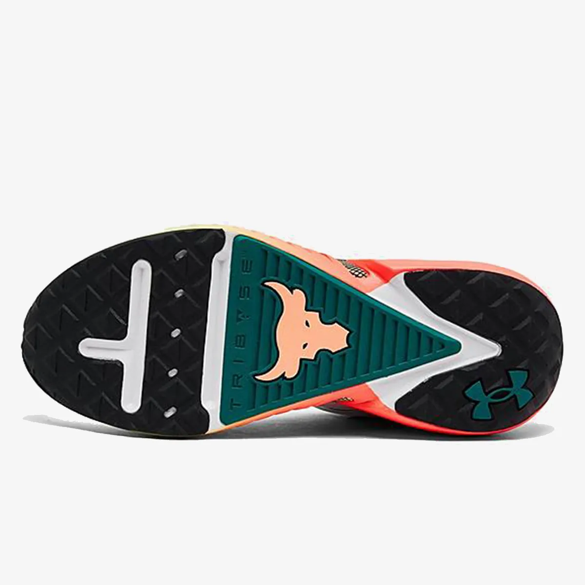UNDER ARMOUR Tenisice UA Project Rock 5 