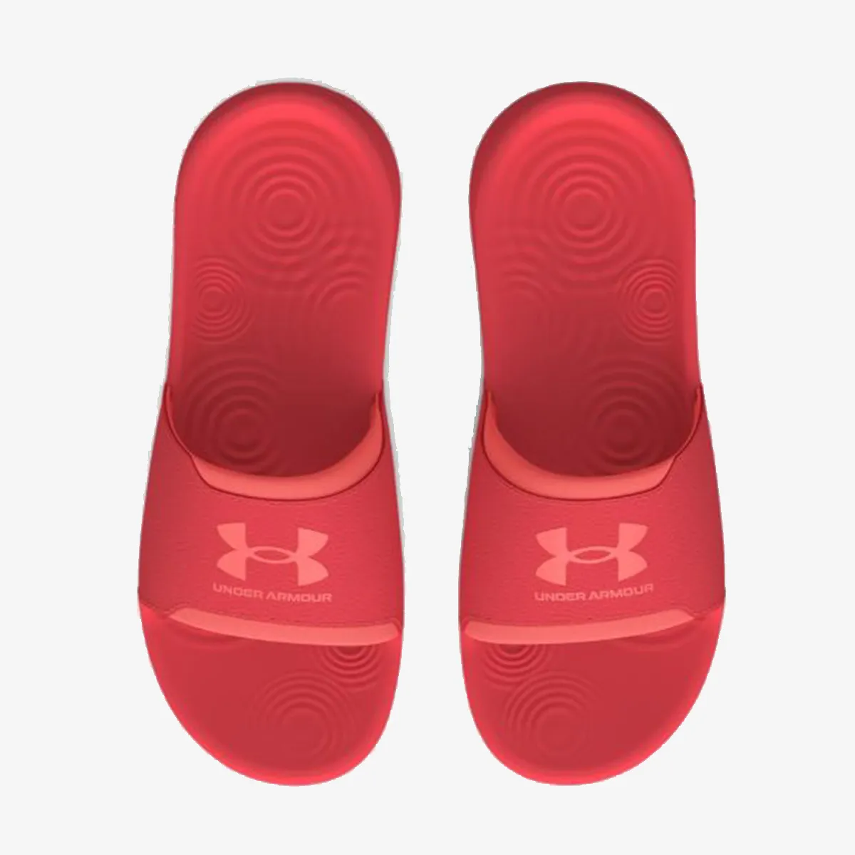 UNDER ARMOUR Natikače UA W Ignite Select 