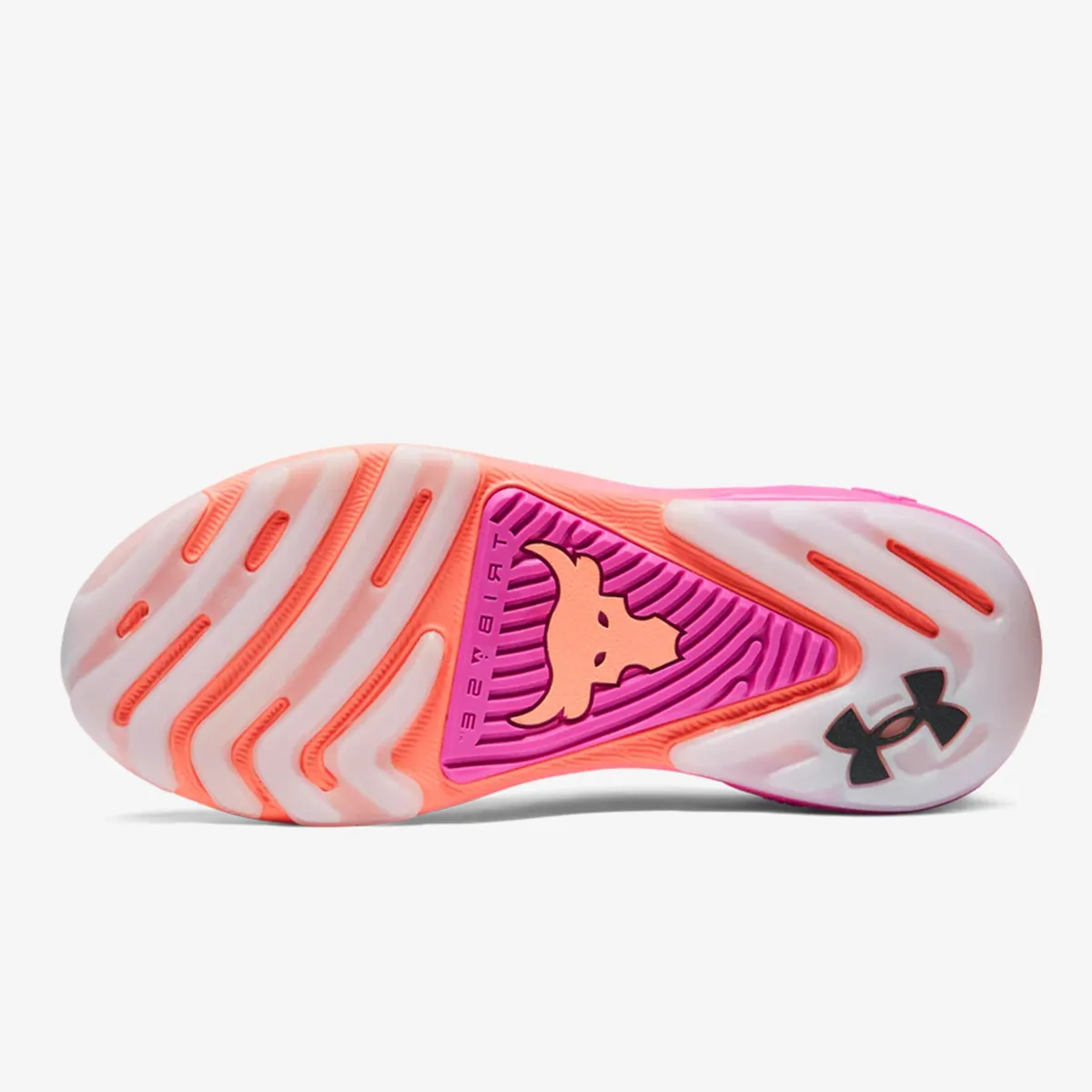 UNDER ARMOUR Tenisice UA Project Rock 7 