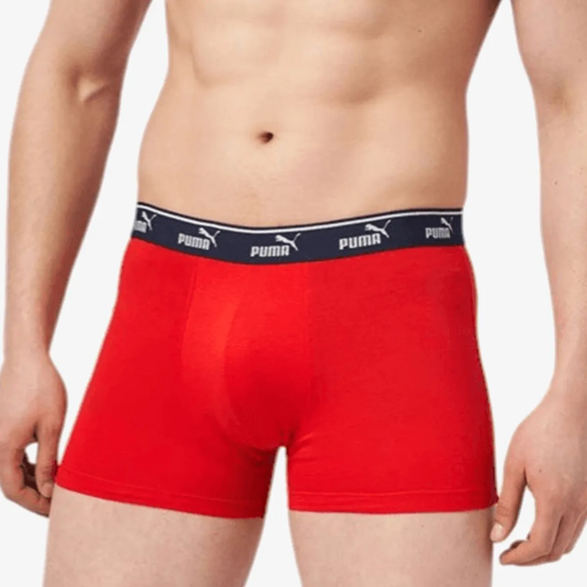 PUMA Donje rublje PUMA ELEMENTS MEN LOGO ELASTIC BOXER 2P 