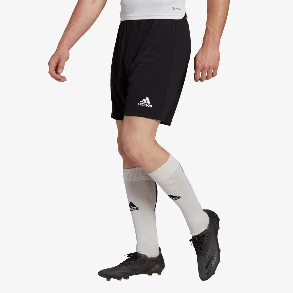 ADIDAS Kratke hlače ENT22 SHO 
