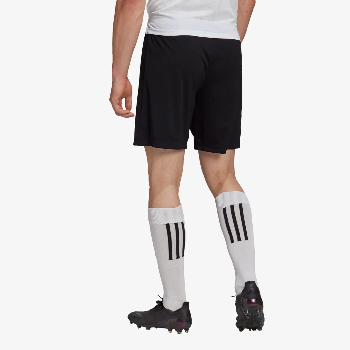 ADIDAS Kratke hlače ENT22 SHO 