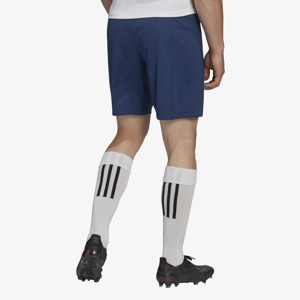ADIDAS Kratke hlače ENT22 SHO 