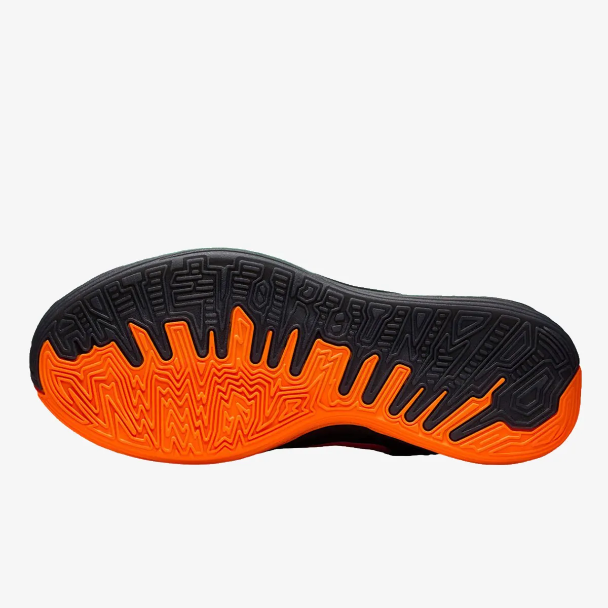 NIKE Tenisice GIANNIS FREAK 7 
