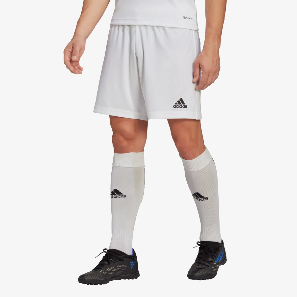 ADIDAS Kratke hlače ENT22 SHO 