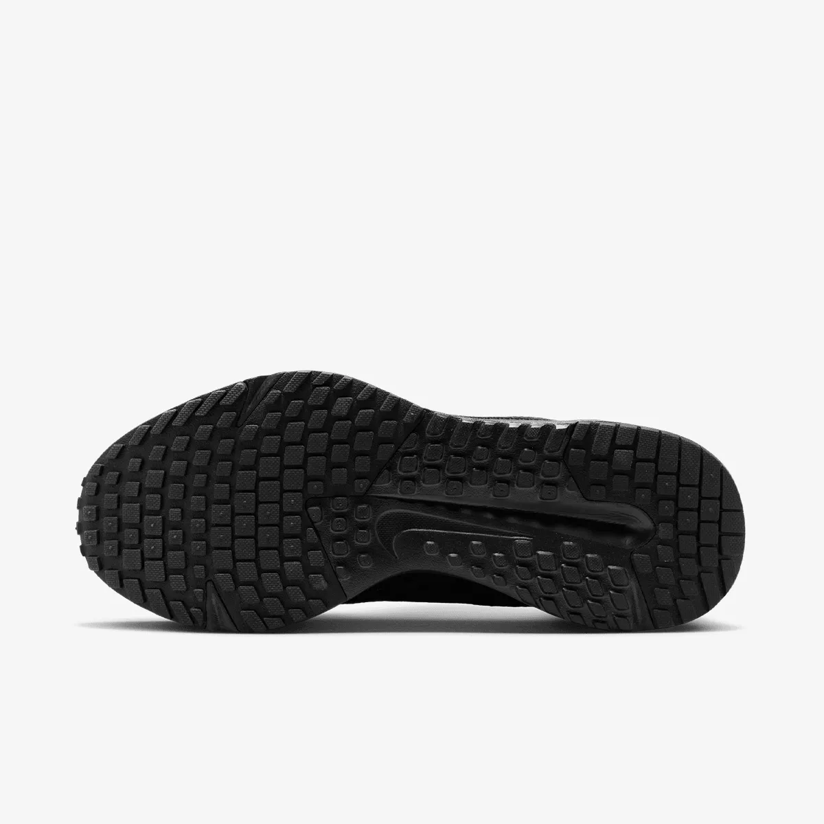 NIKE Tenisice W NIKE RUN DEFY 