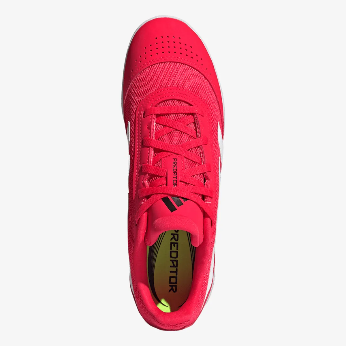 ADIDAS Tenisice PREDATOR CLUB IN SALA 