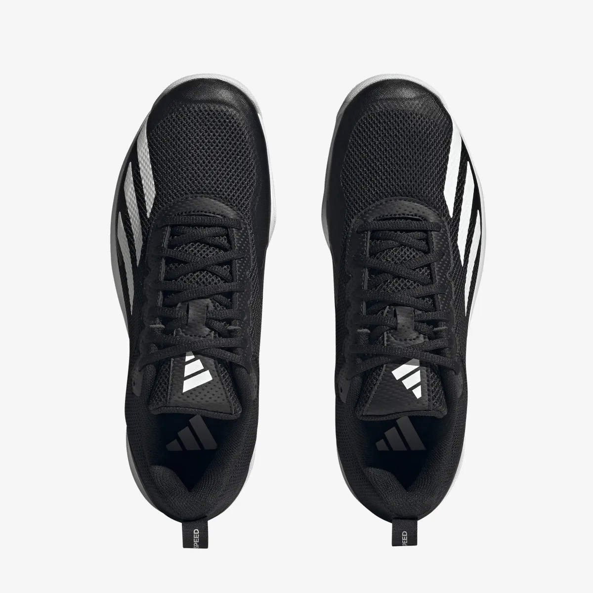 ADIDAS Tenisice Courtflash Speed 