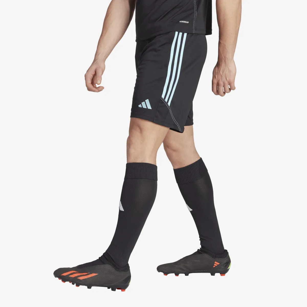 ADIDAS Kratke hlače TIRO23 CB TRSHO 
