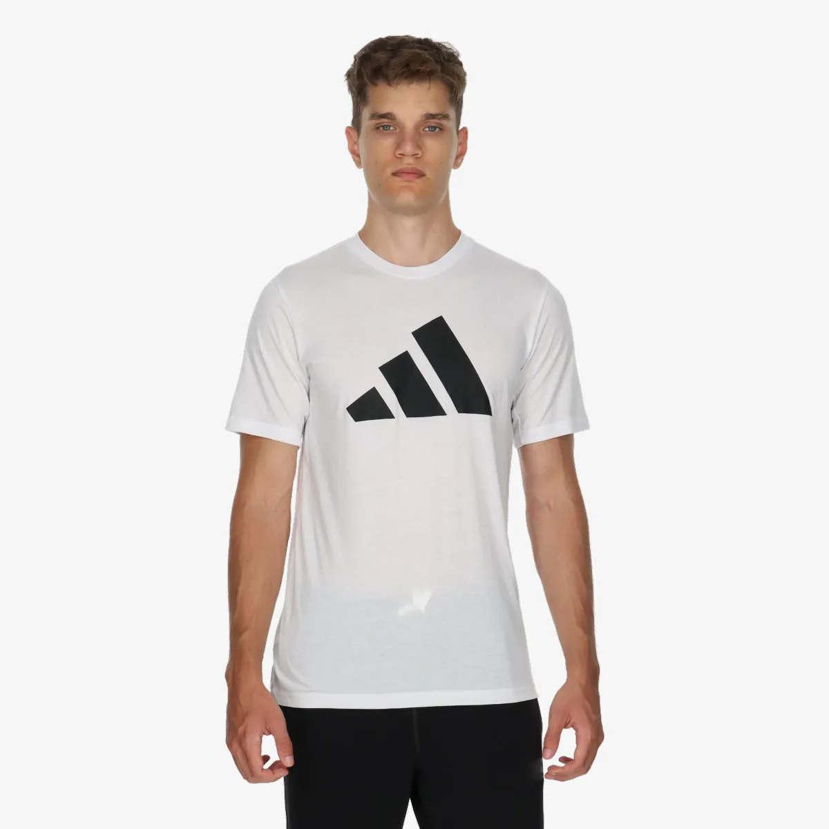 ADIDAS T-Shirt TR-ES FR LOGO T 