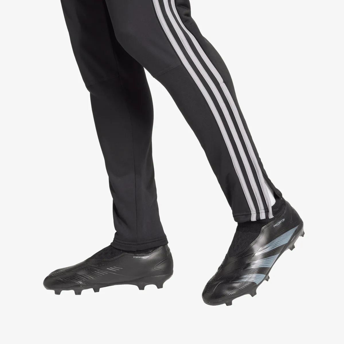 ADIDAS Hlače TIRO24 WINPNT 