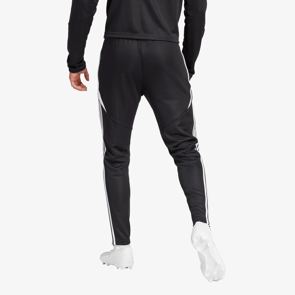 ADIDAS Hlače TIRO24 TRPNT S 