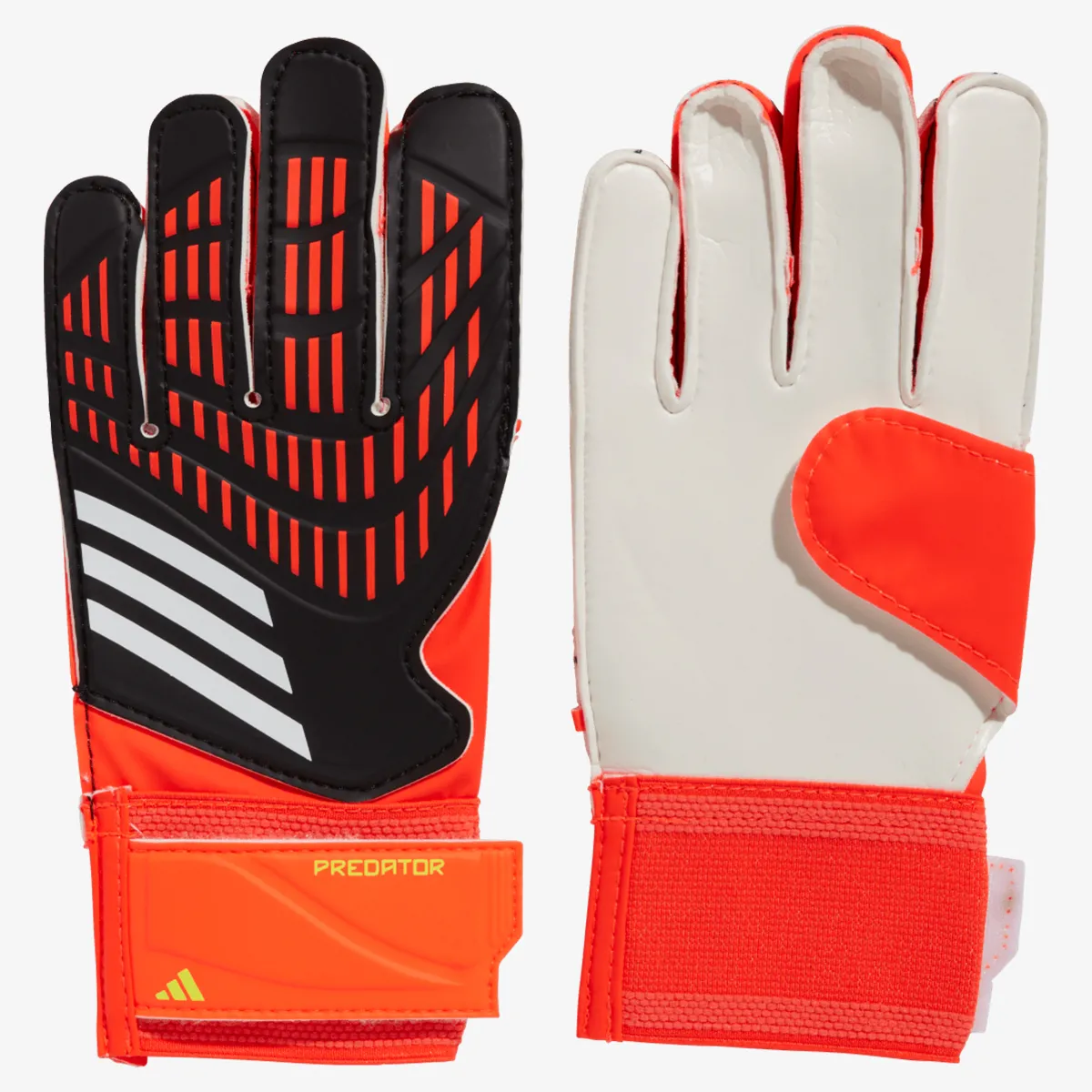 ADIDAS Golmanske rukavice PRED GL TRN