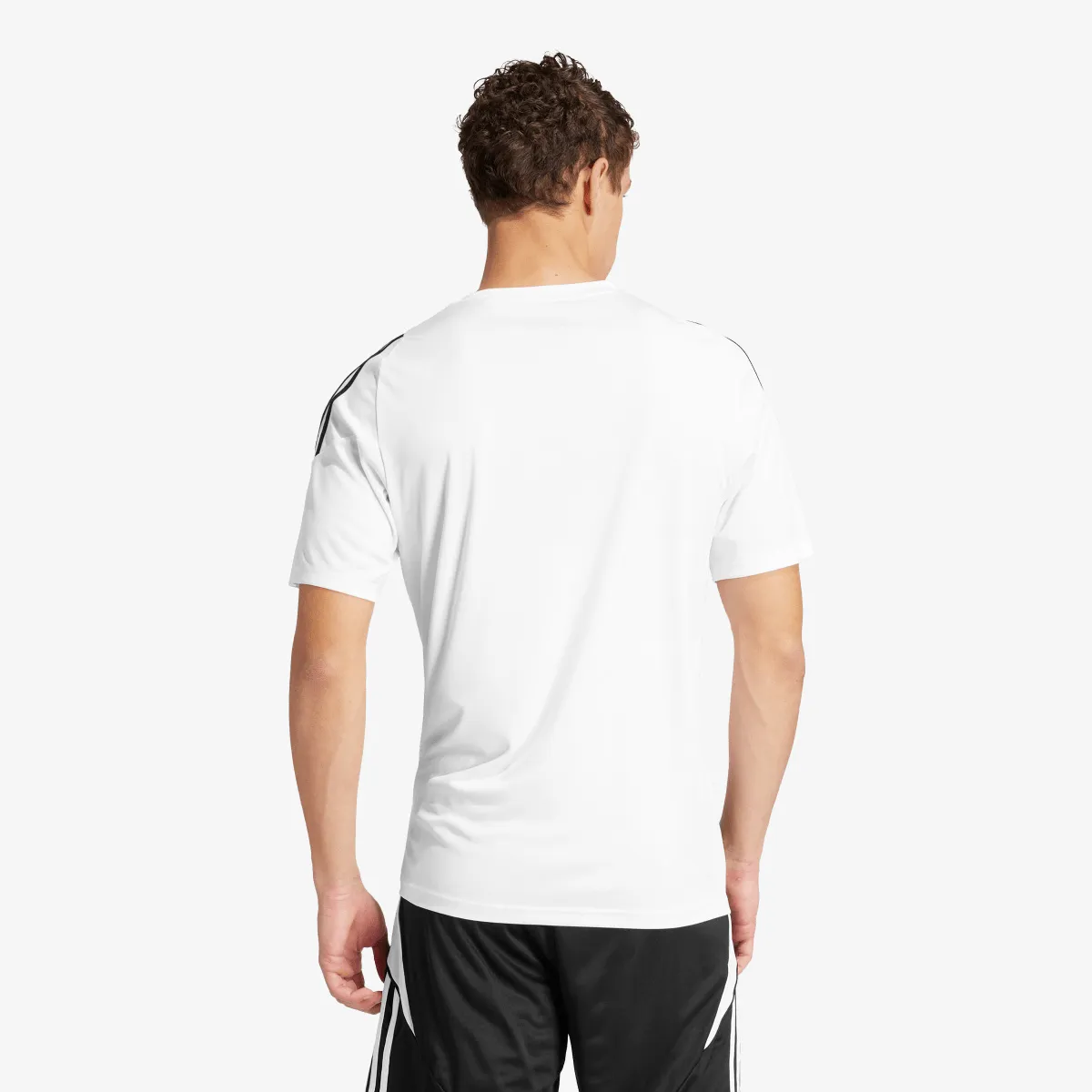 ADIDAS T-Shirt TIRO24 JSY 