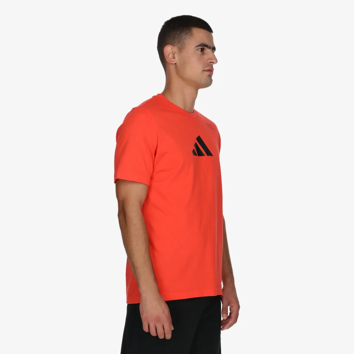 ADIDAS T-Shirt M TR CAT G T 