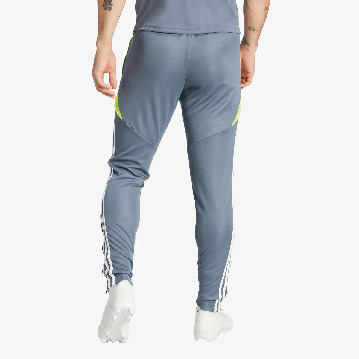 ADIDAS Hlače TIRO24 TRPNT 