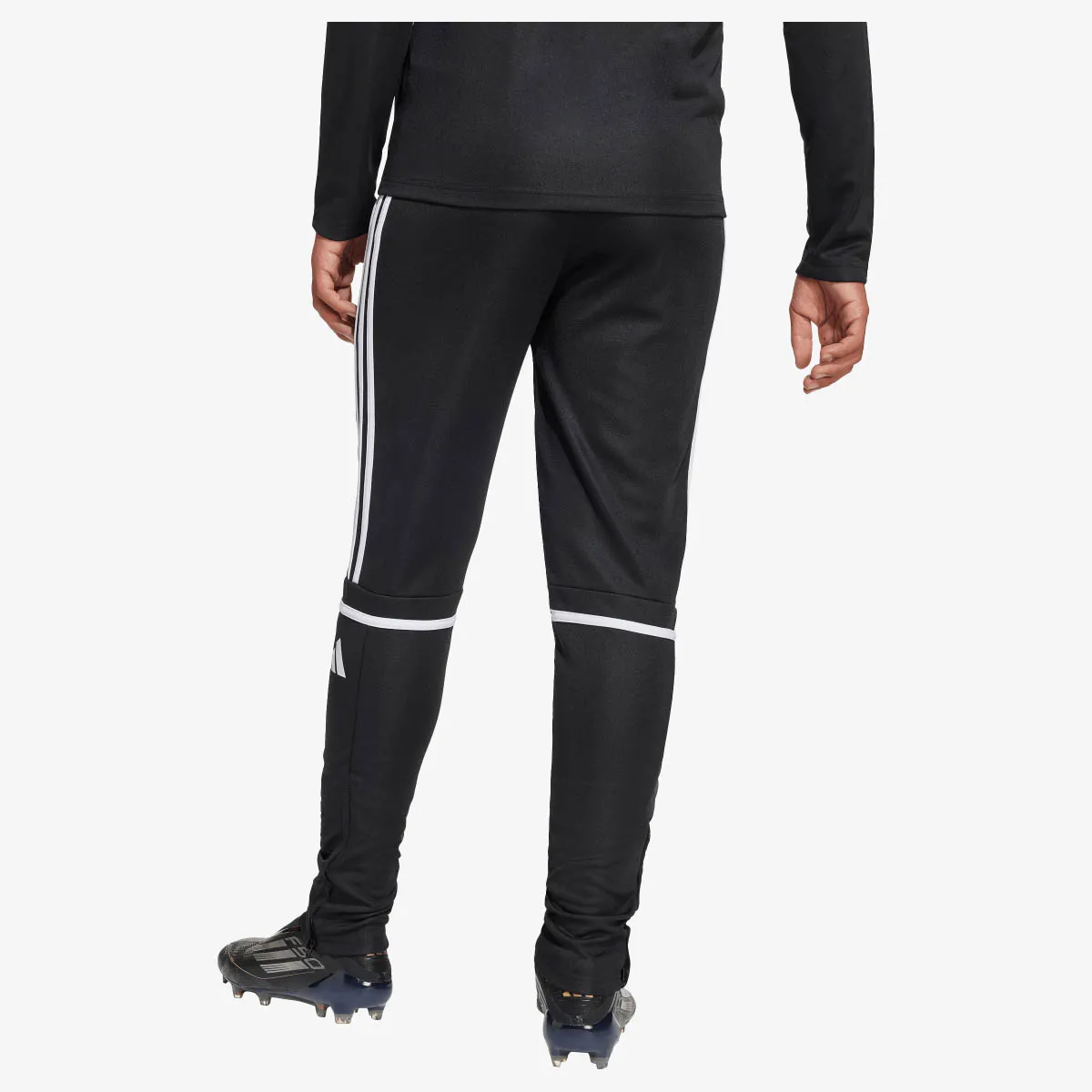 adidas Hlače SQ25 TR PNT Y