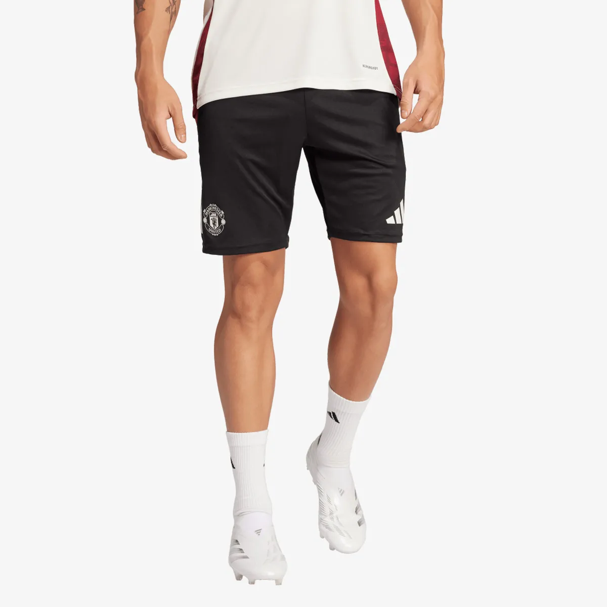 ADIDAS Kratke hlače MUFC TR SHO 