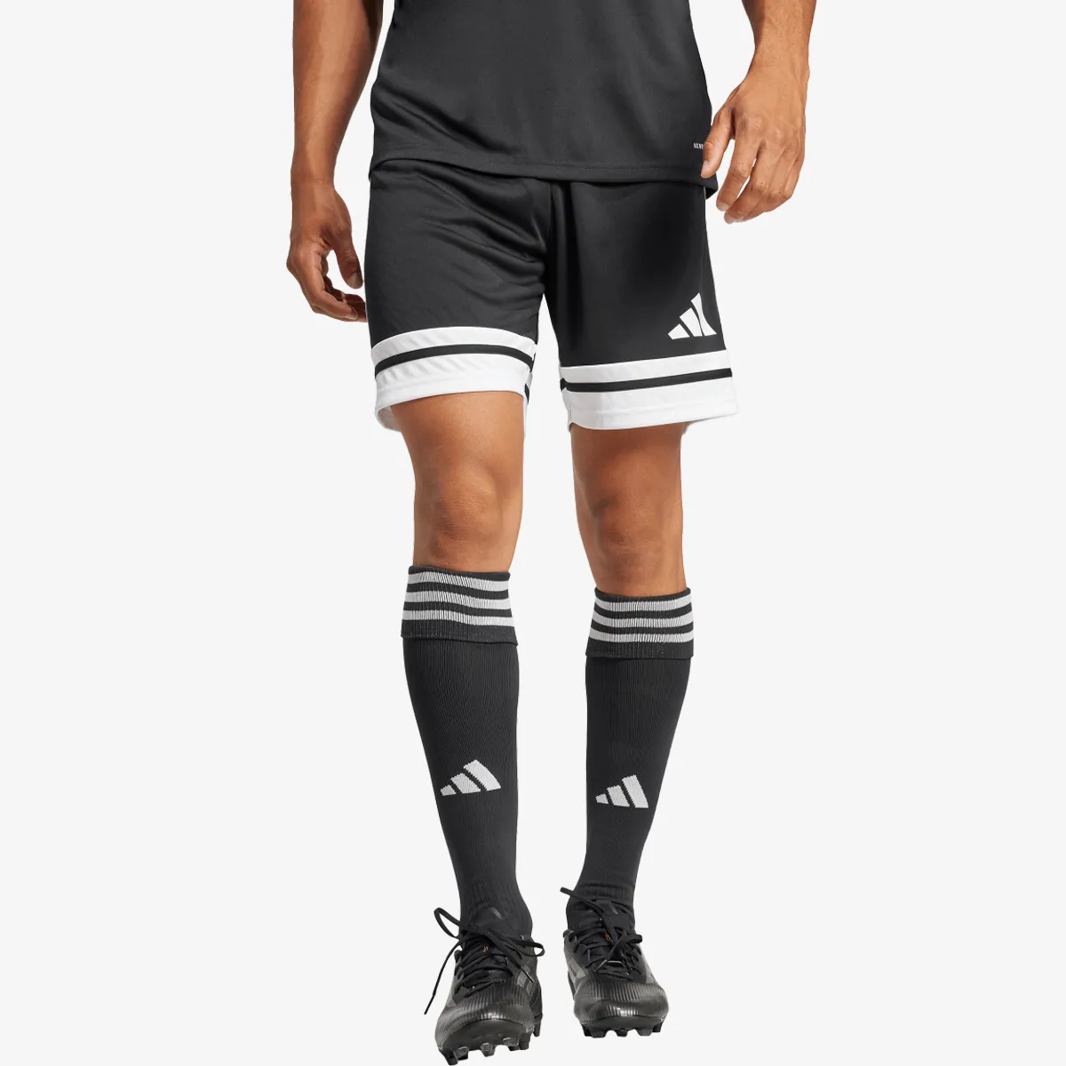 adidas Kratke hlače SQUA25 SHO M