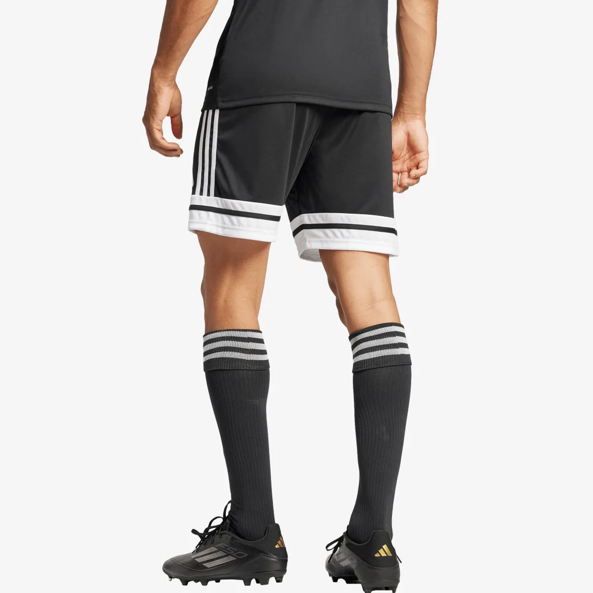 adidas Kratke hlače SQUA25 SHO M