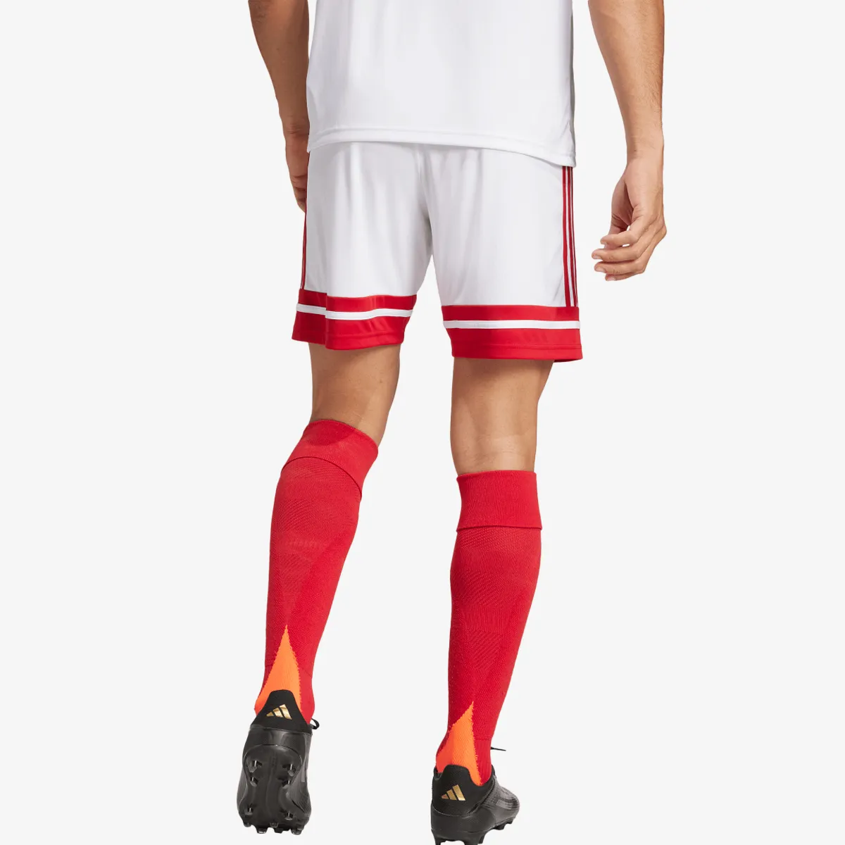 adidas Kratke hlače SQUA25 SHO M