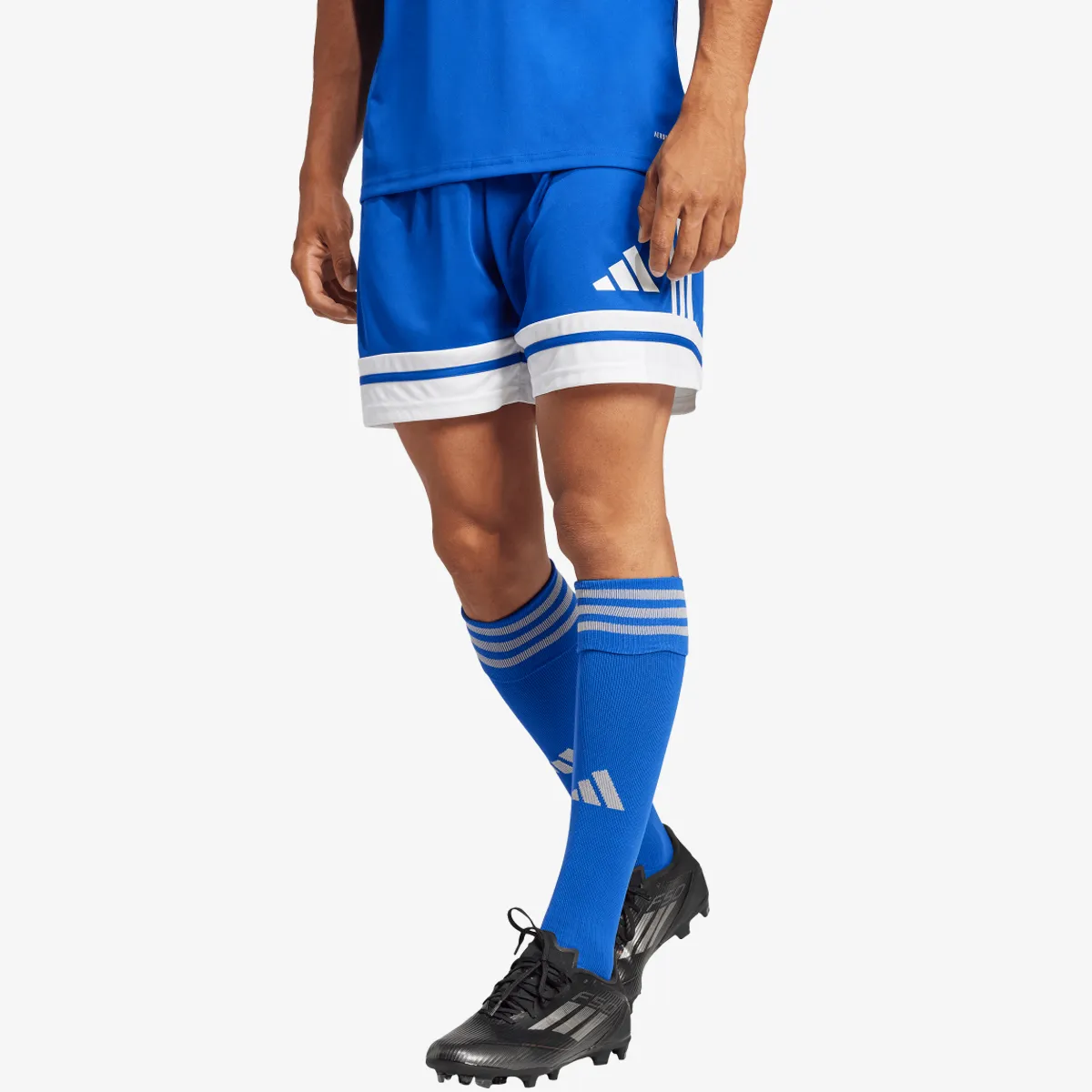 adidas Kratke hlače SQUA25 SHO M 