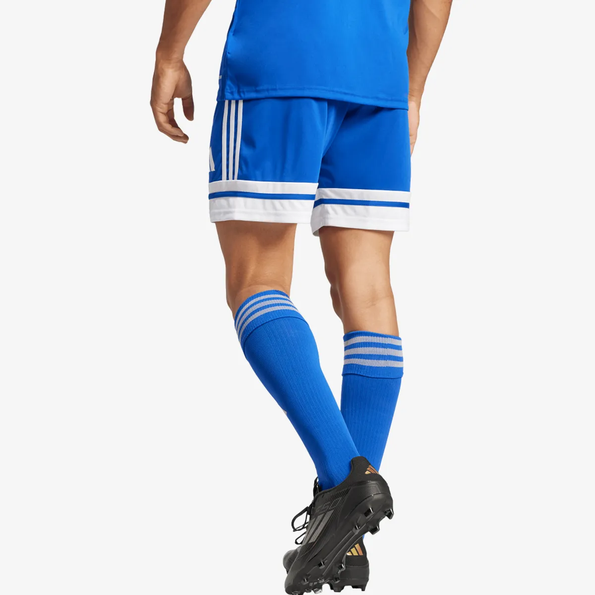adidas Kratke hlače SQUA25 SHO M 