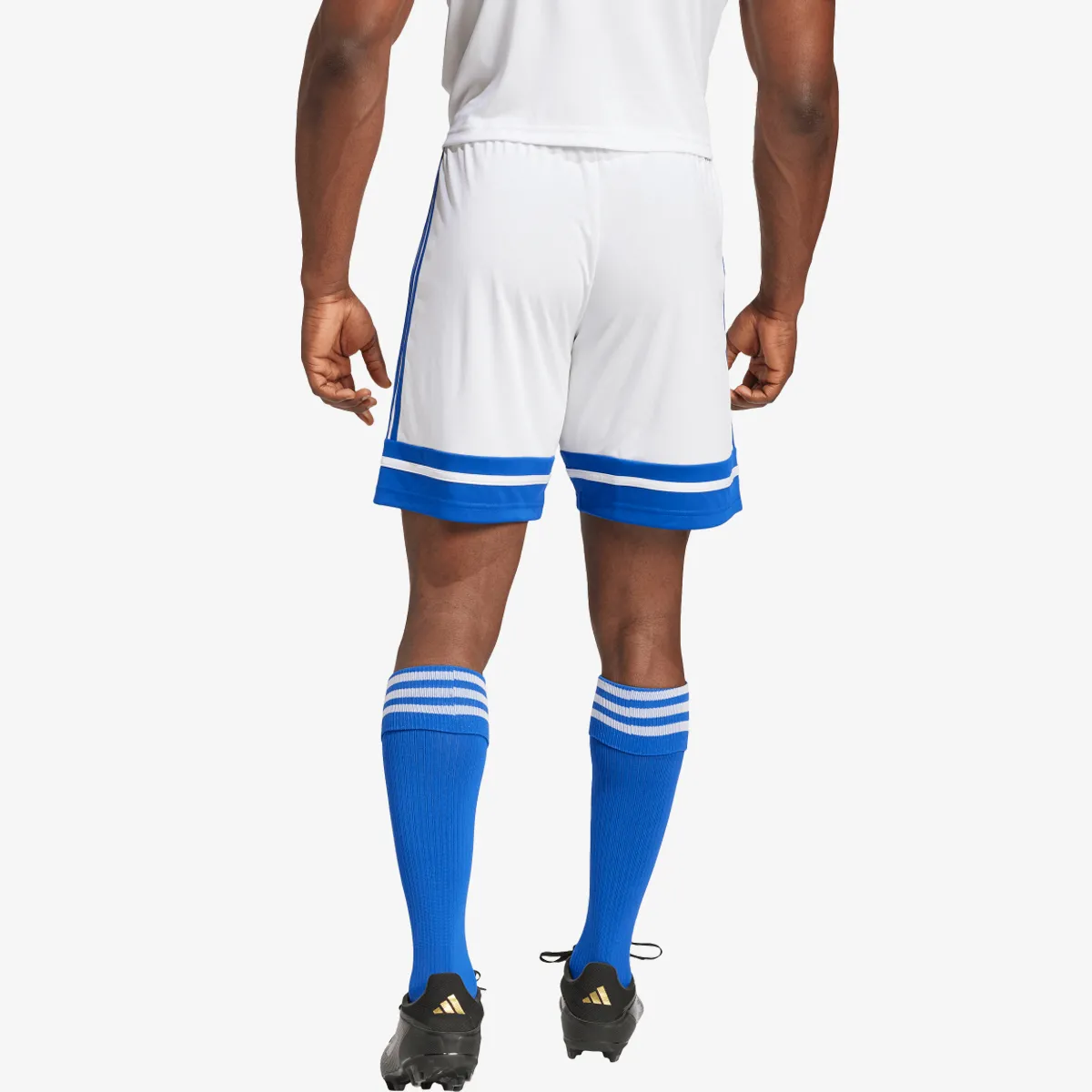 adidas Kratke hlače SQUA25 SHO M