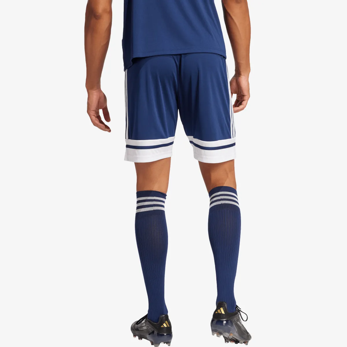 adidas Kratke hlače SQUA25 SHO M