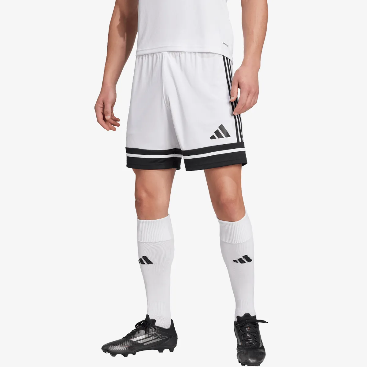 adidas Kratke hlače SQUA25 SHO M 