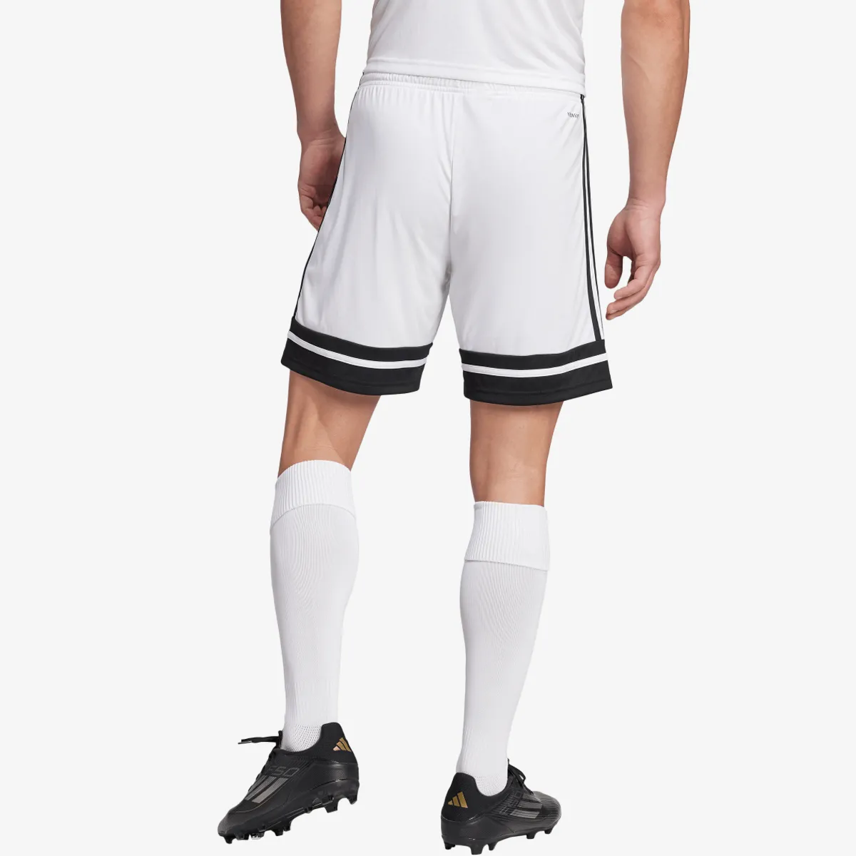 adidas Kratke hlače SQUA25 SHO M 