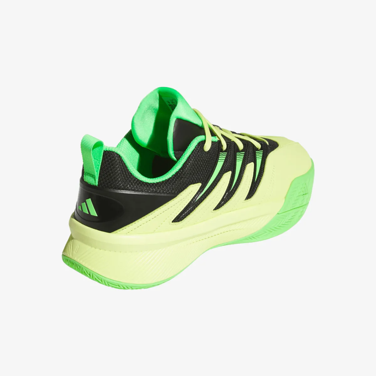 ADIDAS Tenisice DAME CERTIFIED 3 