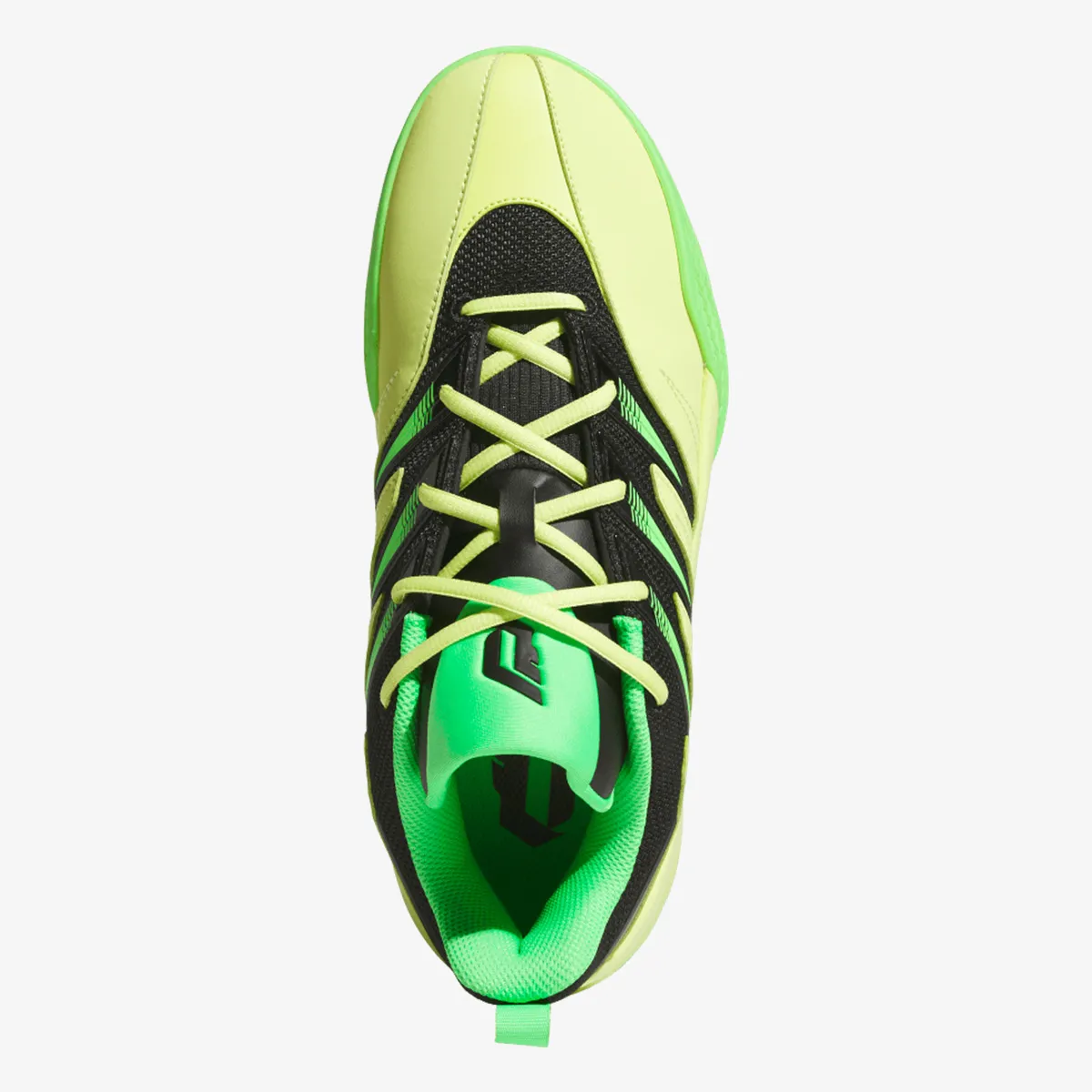ADIDAS Tenisice DAME CERTIFIED 3 