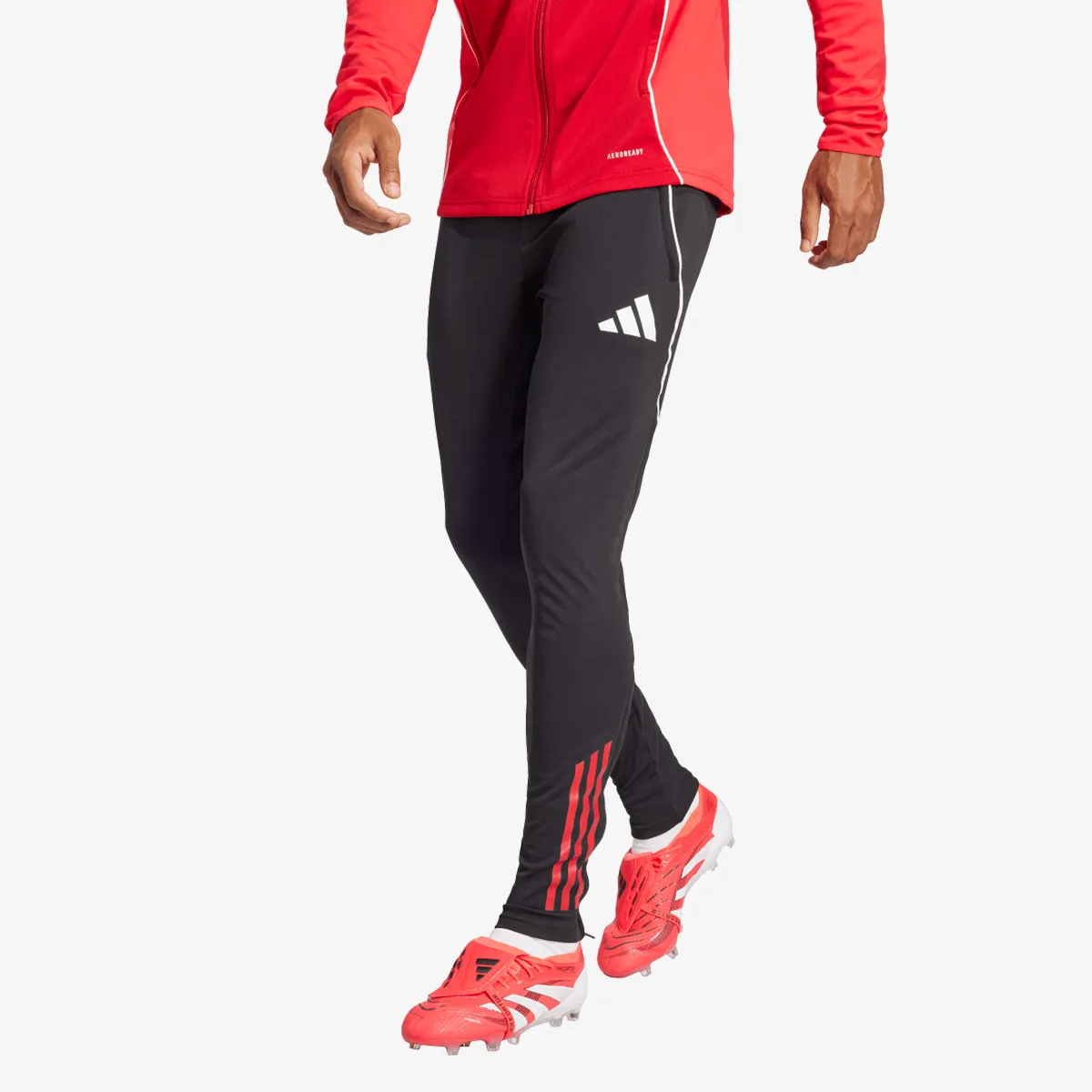 ADIDAS Hlače TIRO25C TR PNT 