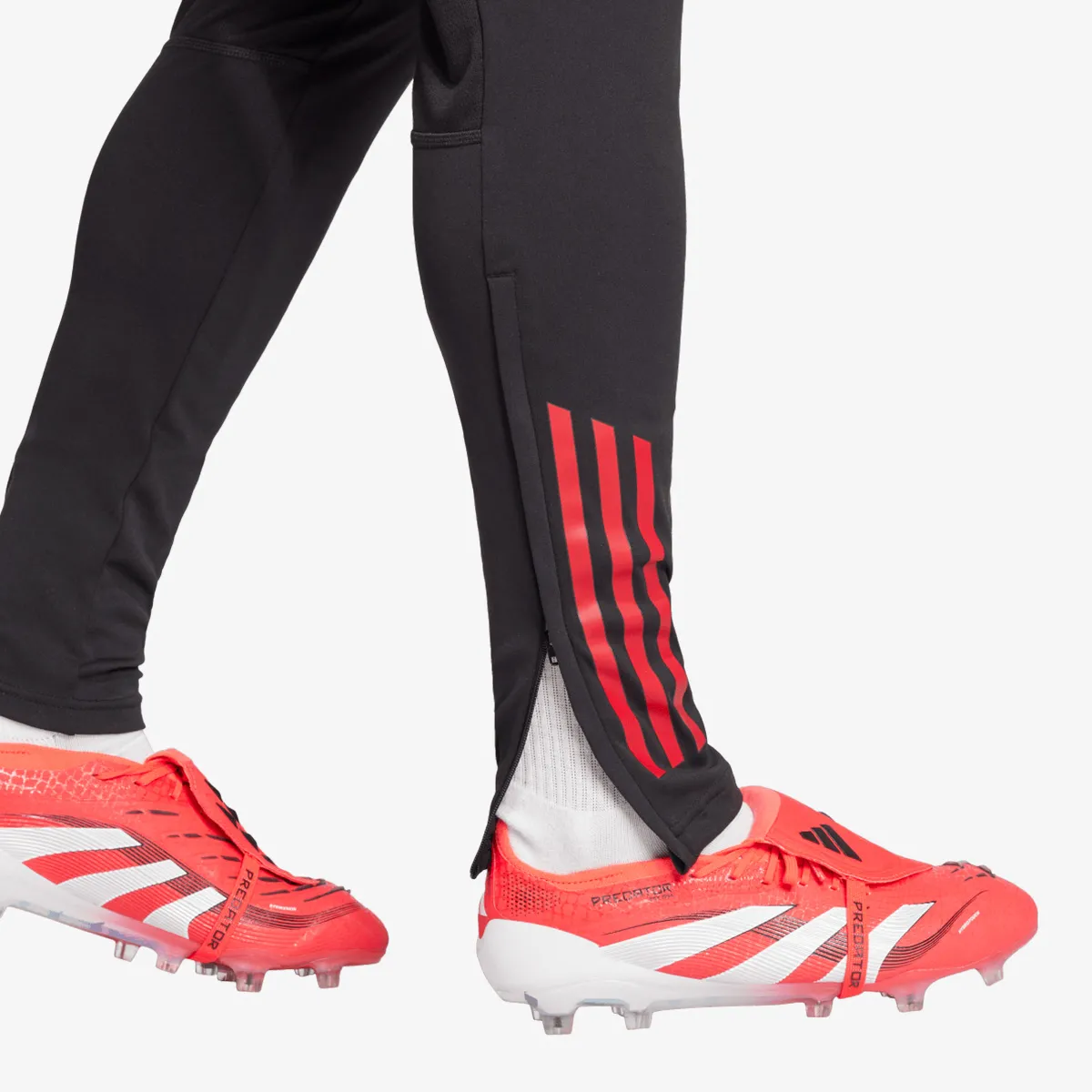 ADIDAS Hlače TIRO25C TR PNT 
