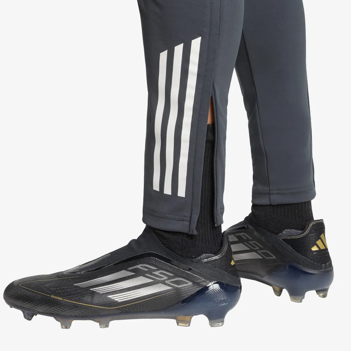 ADIDAS Hlače AFC EU TR PNT 