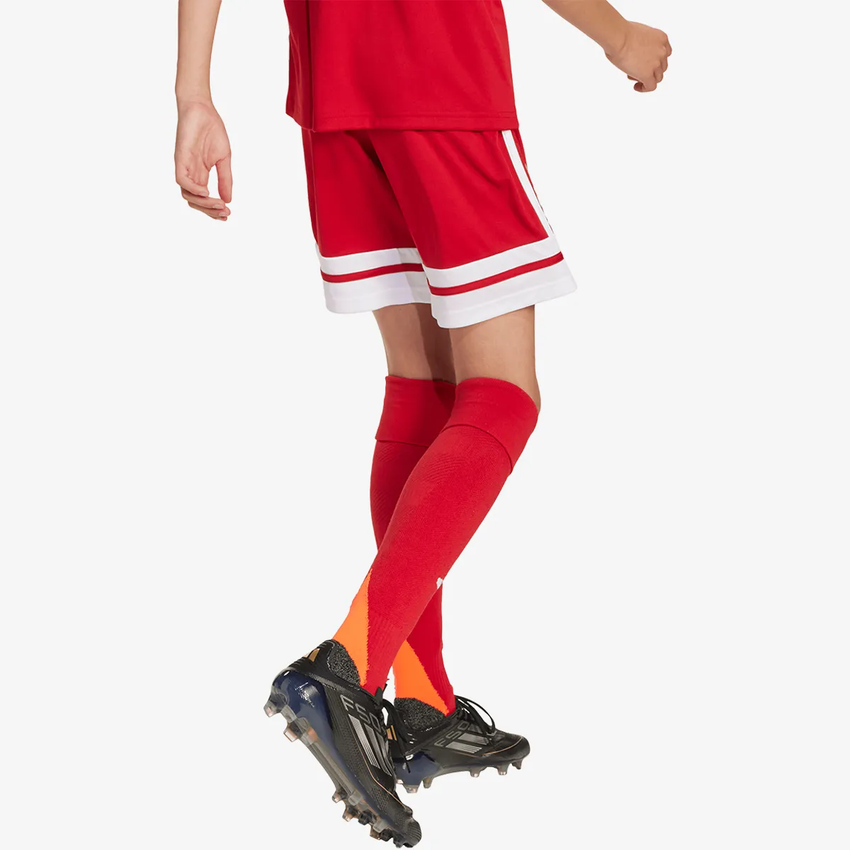 adidas Kratke hlače SQUA25 SHO Y