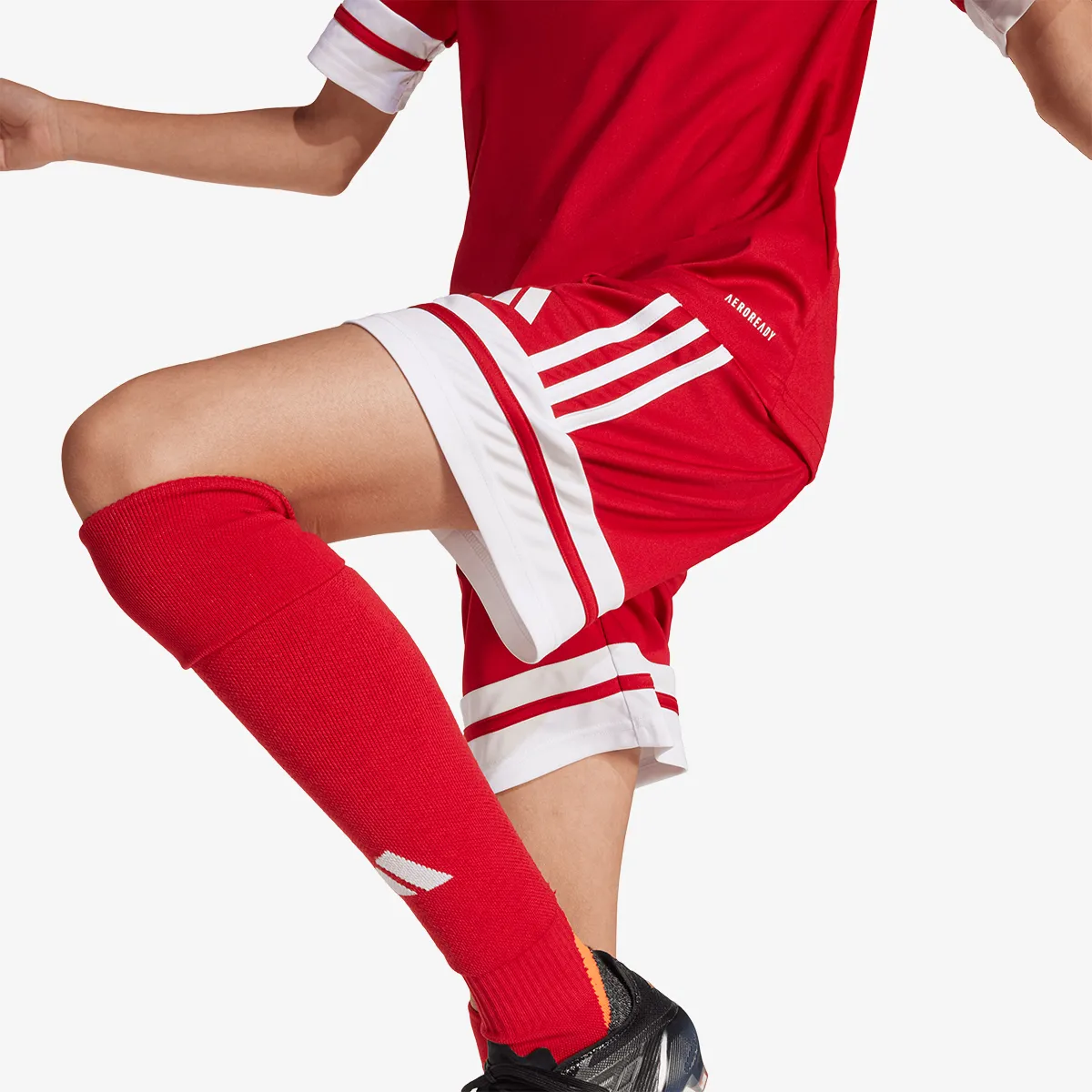 adidas Kratke hlače SQUA25 SHO Y
