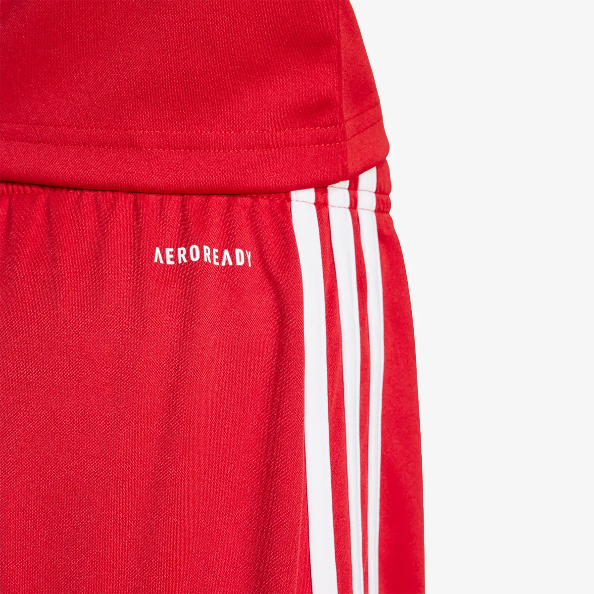 adidas Kratke hlače SQUA25 SHO Y