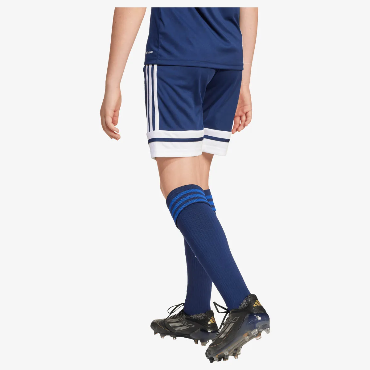adidas Kratke hlače SQUA25 SHO Y
