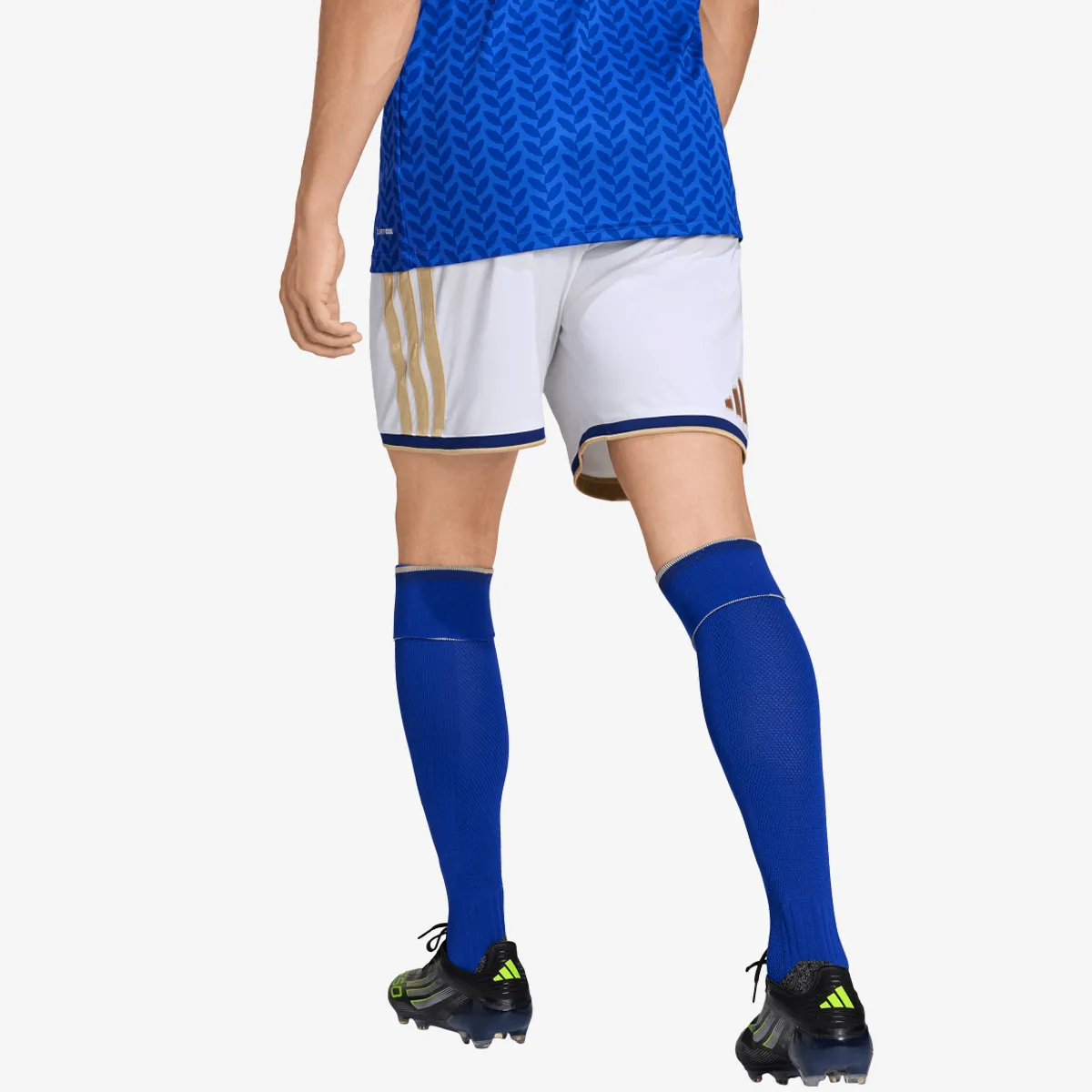 ADIDAS Kratke hlače FIGC H SHO 