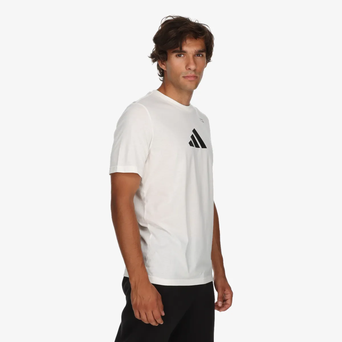 ADIDAS T-Shirt M TR CAT G T 