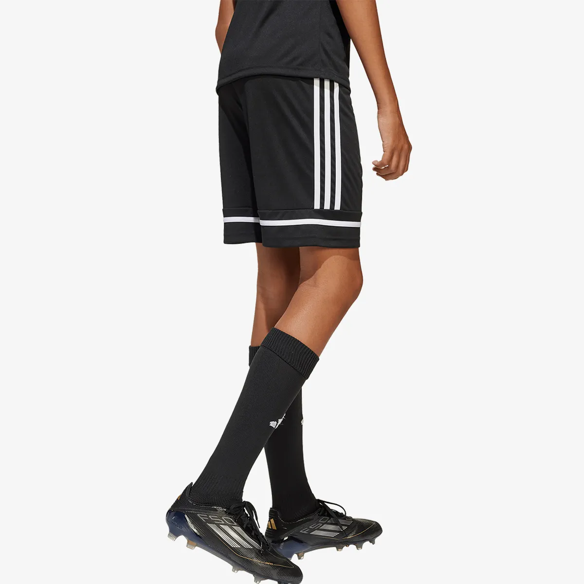 adidas Kratke hlače SQUA25 SHO Y