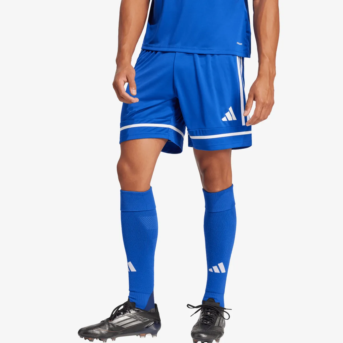 adidas Kratke hlače SQUA25 SHO M 