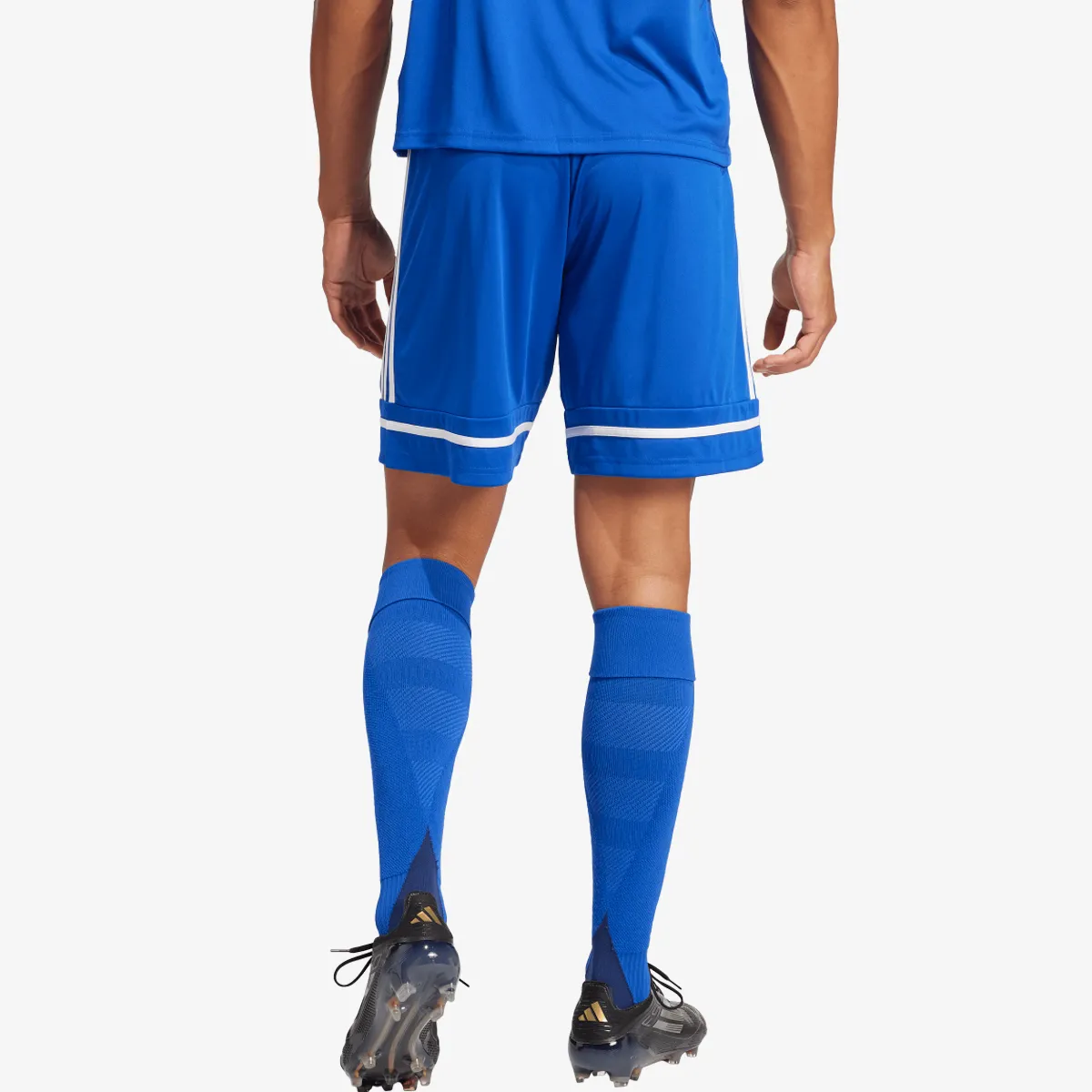 adidas Kratke hlače SQUA25 SHO M 