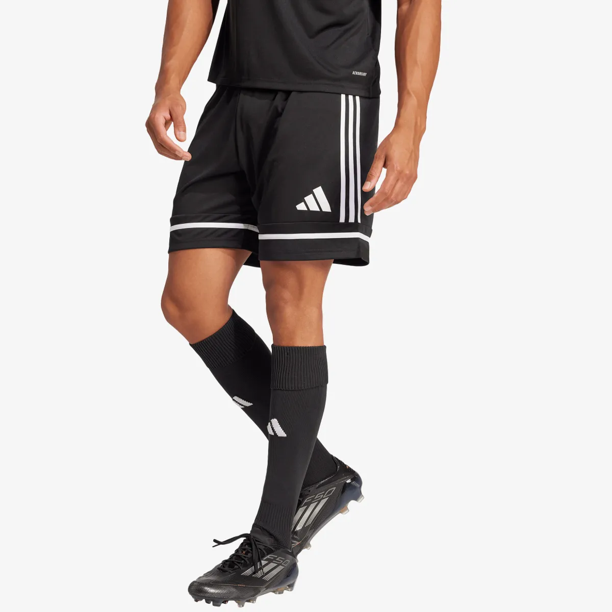 adidas Kratke hlače SQUA25 SHO M 