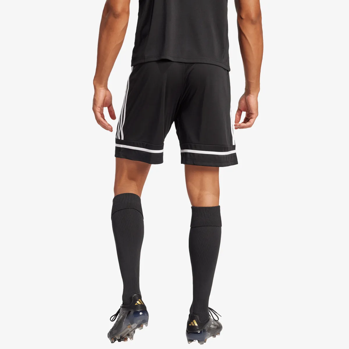 adidas Kratke hlače SQUA25 SHO M 