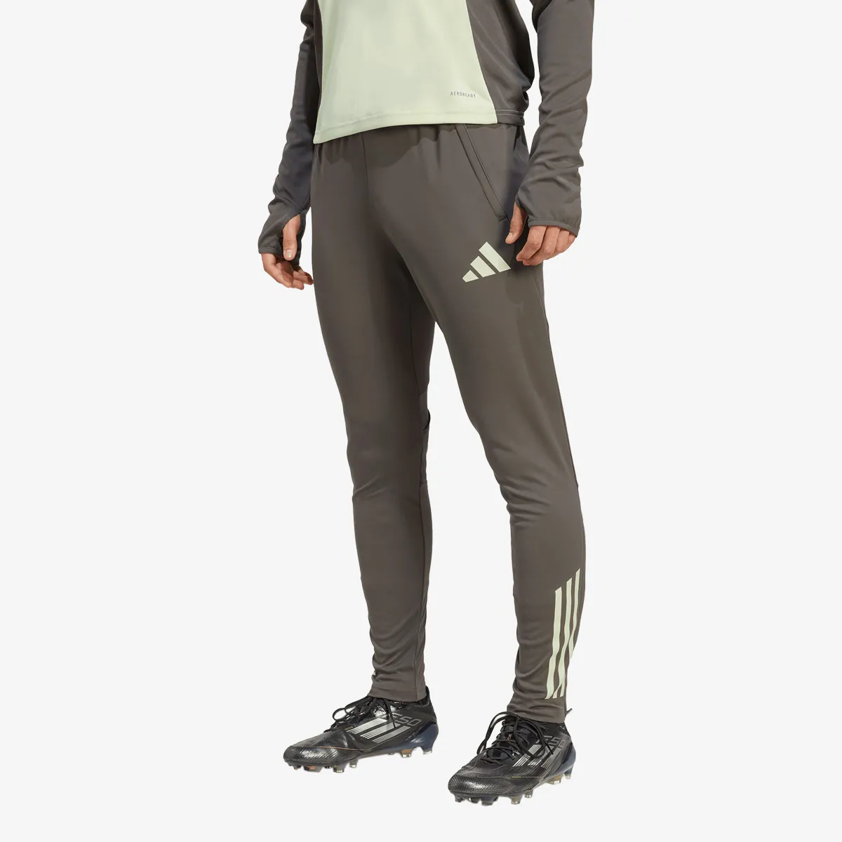 ADIDAS Hlače REAL TR PNT 